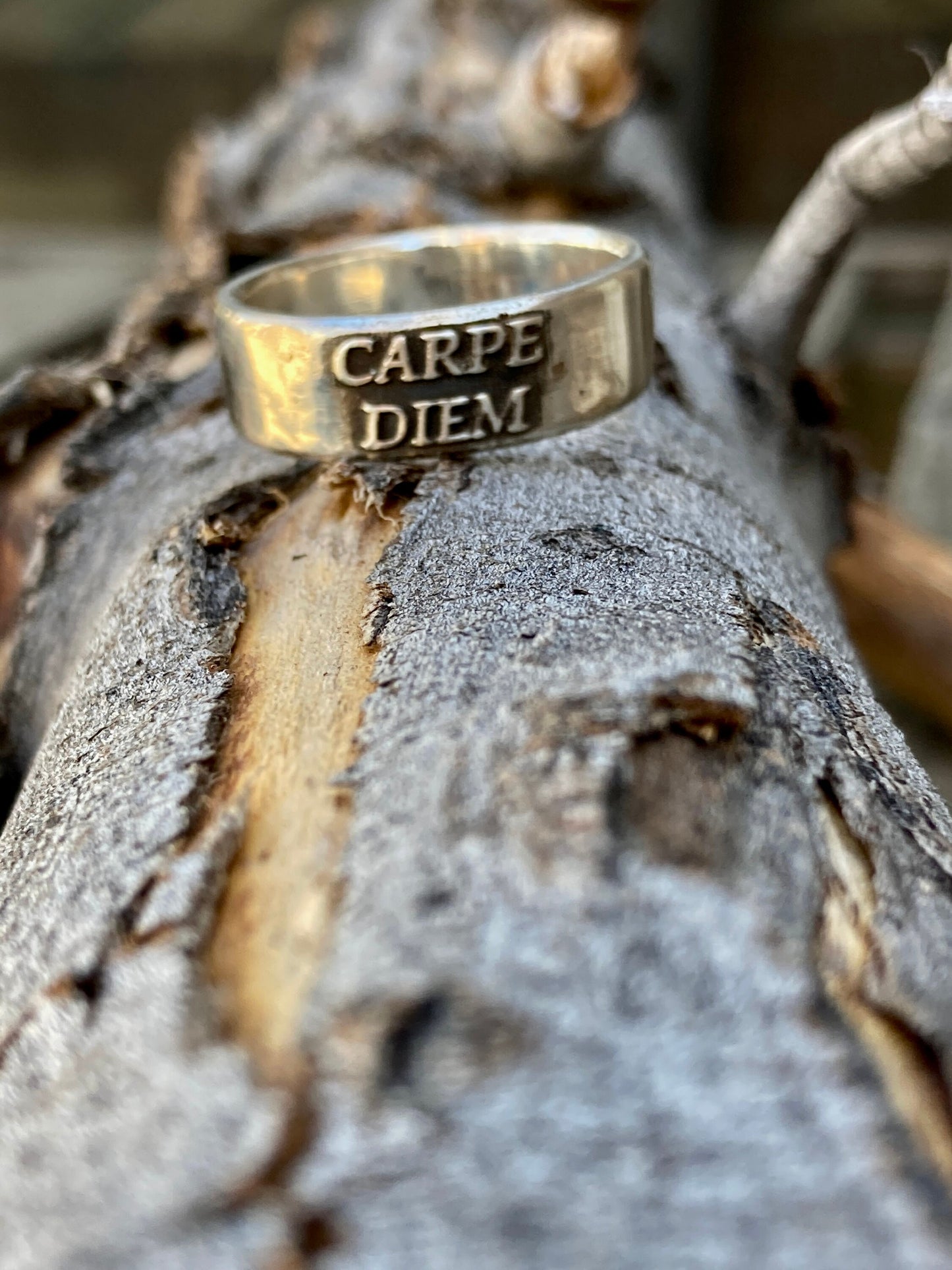Sterling Silver Carpe Diem Ring – Handmade Latin Inspirational Band for Men & Women | Backwoods Casting