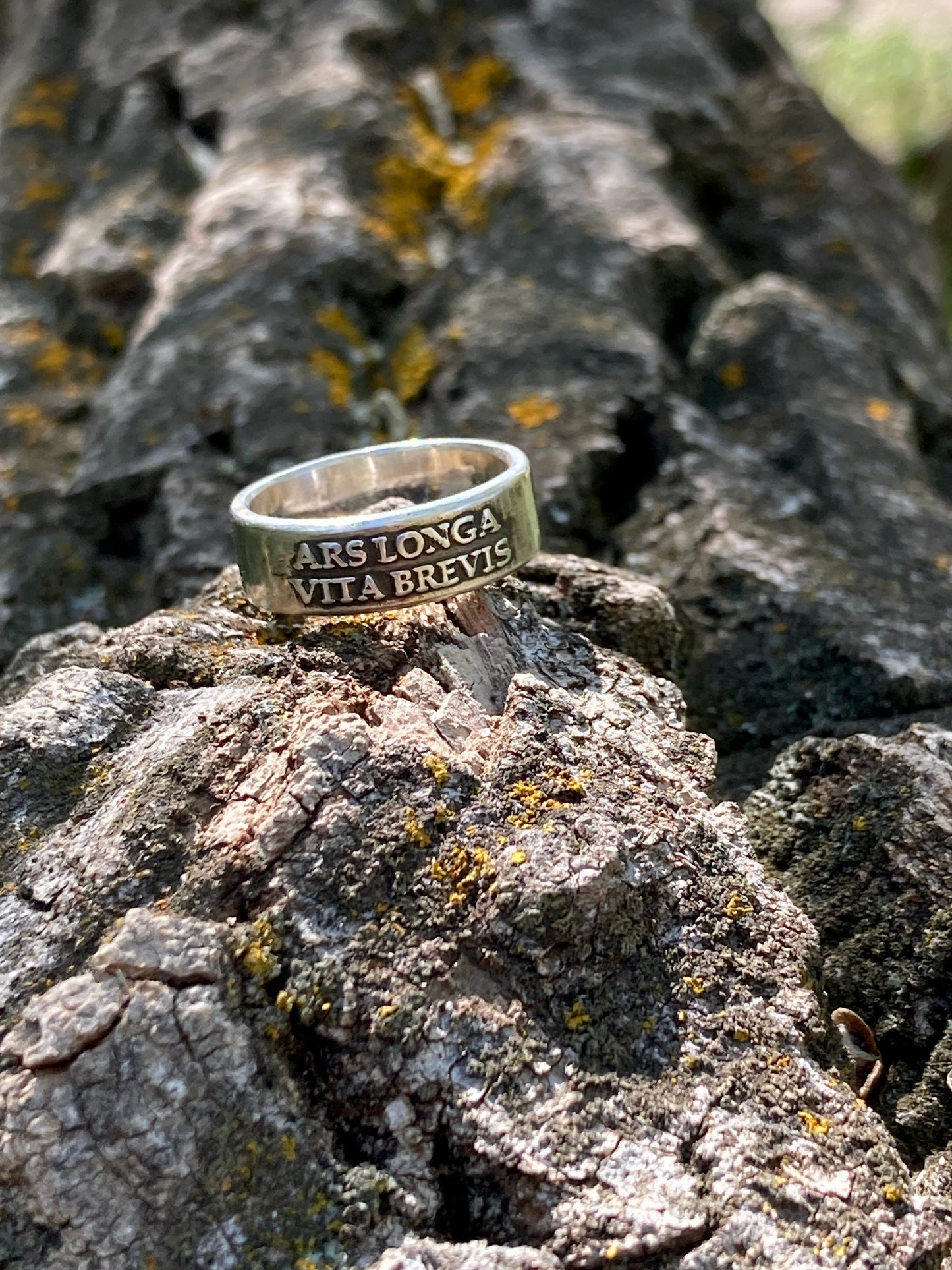 Ars Longa Vita Brevis Ring - Art is Long, Life is Short - Sterling Silver Ring Jewelry Womens Rings Mens Rings Art Lover Ring Artist Ring
