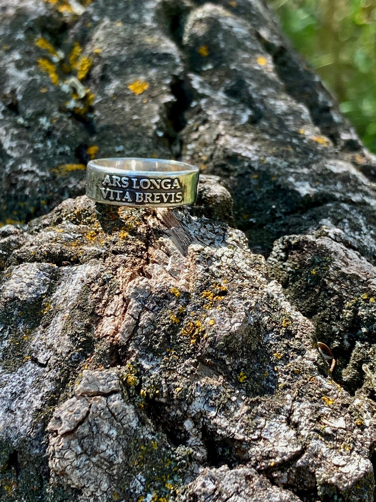 Ars Longa Vita Brevis Ring - Art is Long, Life is Short - Sterling Silver Ring Jewelry Womens Rings Mens Rings Art Lover Ring Artist Ring