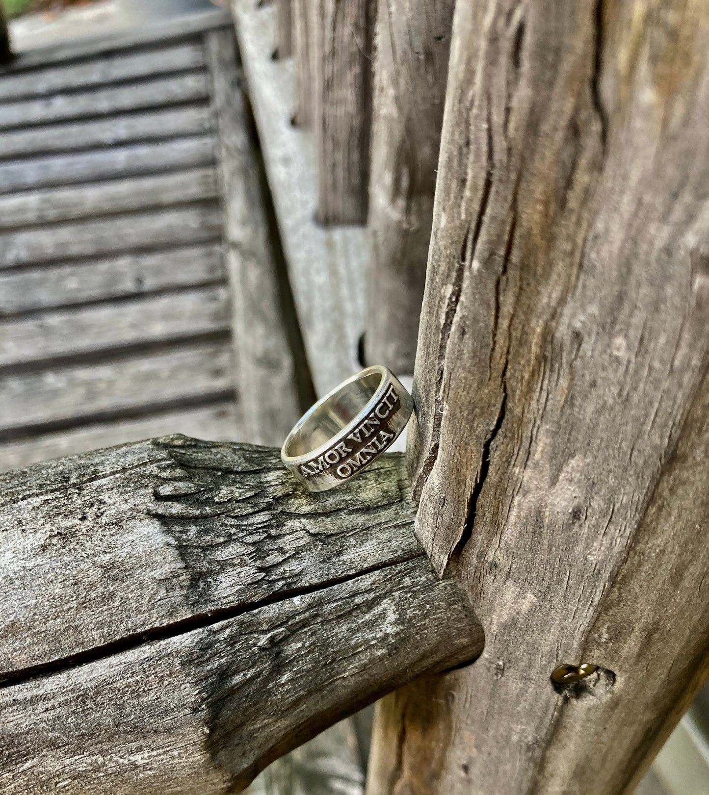 Amor Vincit Omnia Ring Sterling Silver Ring Love Conquers All Jewelry Womens Rings Mens Rings Engagement Promise Ring Halloween Gothic