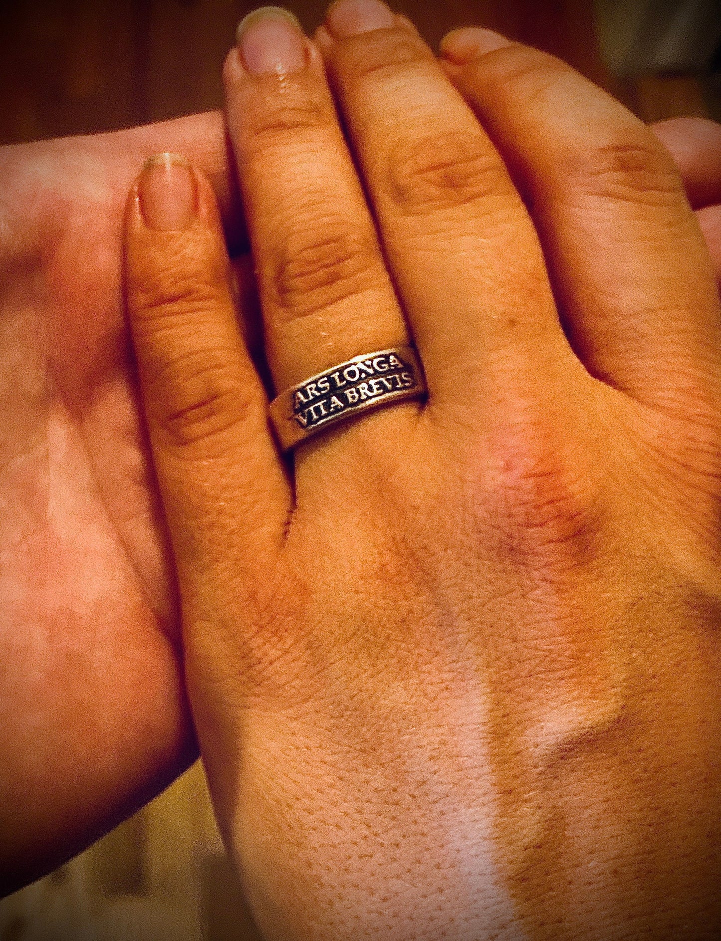 Ars Longa Vita Brevis Ring - Art is Long, Life is Short - Sterling Silver Ring Jewelry Womens Rings Mens Rings Art Lover Ring Artist Ring