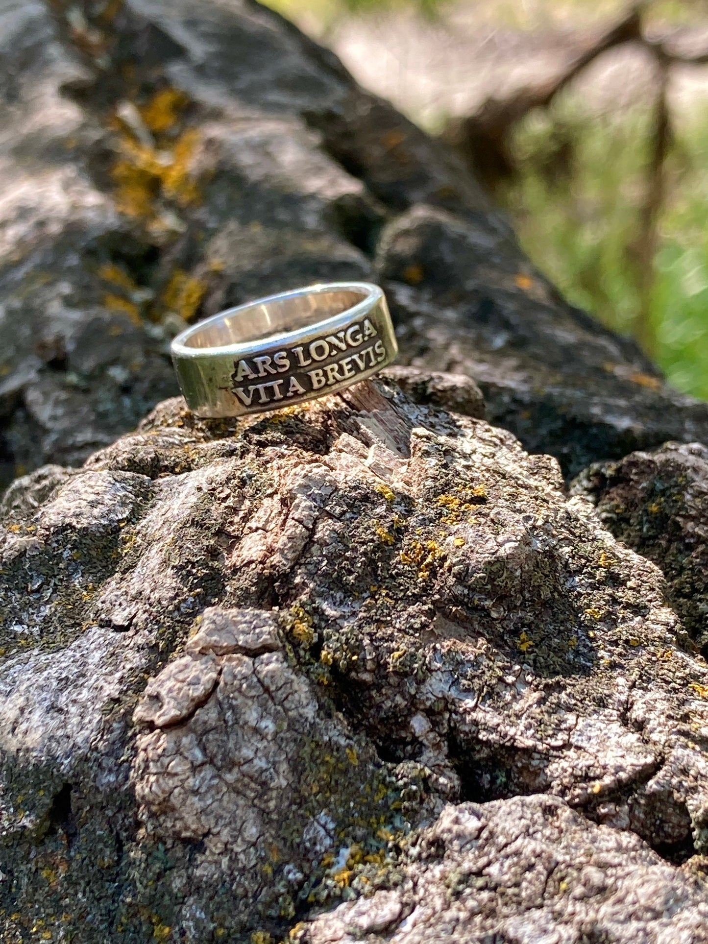 Ars Longa Vita Brevis Ring - Art is Long, Life is Short - Sterling Silver Ring Jewelry Womens Rings Mens Rings Art Lover Ring Artist Ring