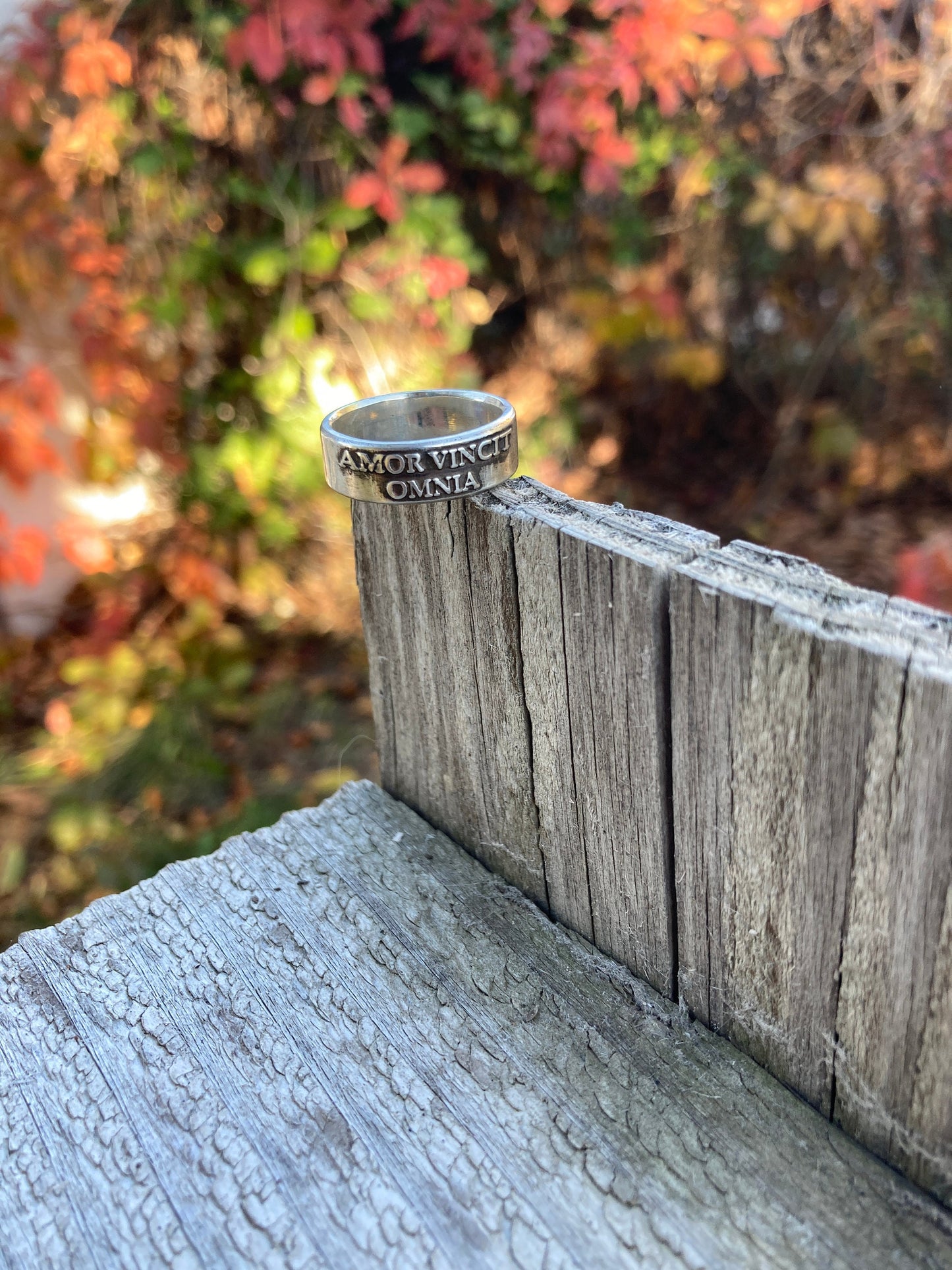 Amor Vincit Omnia Ring Sterling Silver Ring Love Conquers All Jewelry Womens Rings Mens Rings Engagement Promise Ring Halloween Gothic