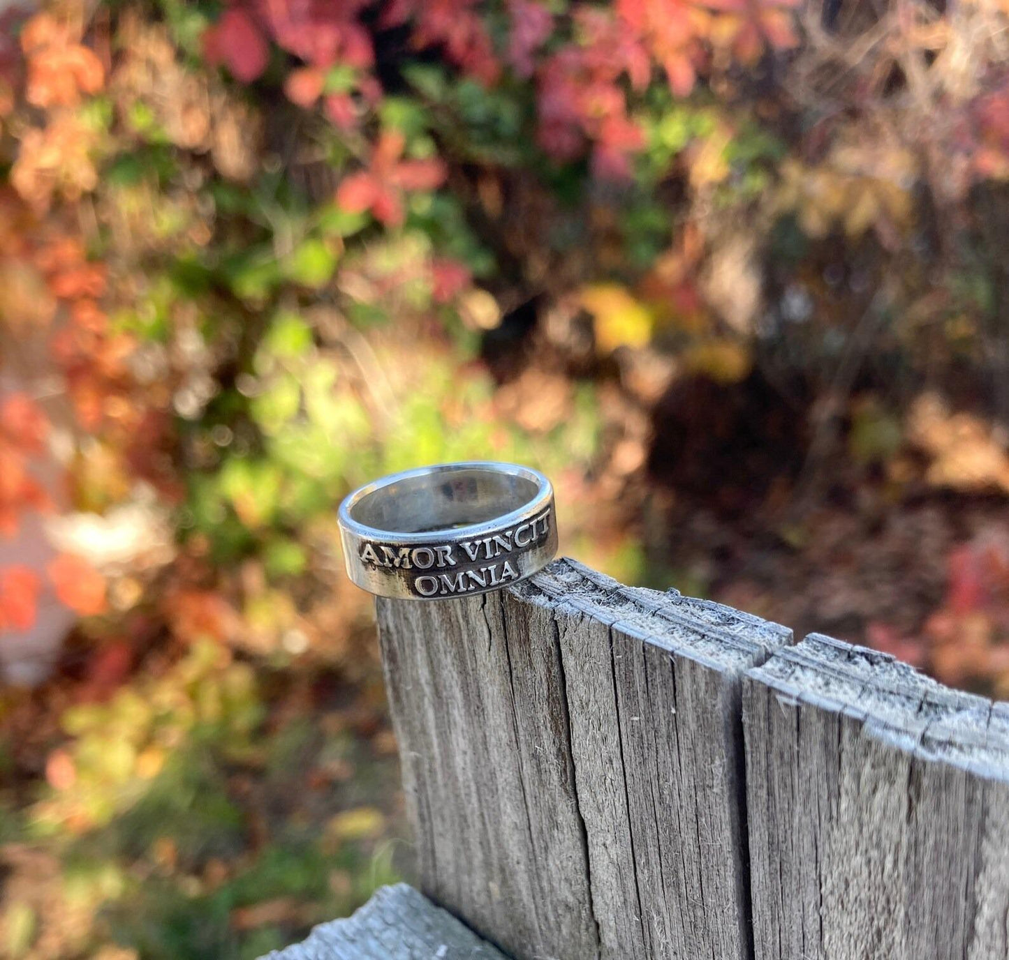 Wide Amor Vincit Omnia sterling silver band