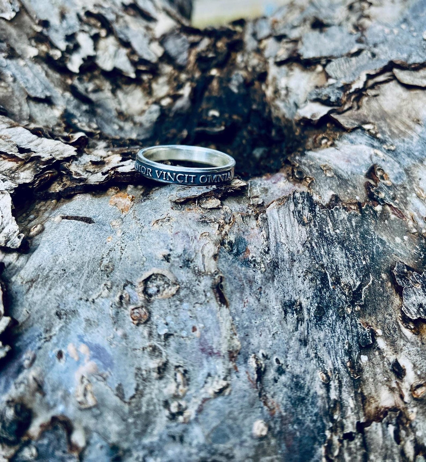 Amor Vincit Omnia matching ring detail