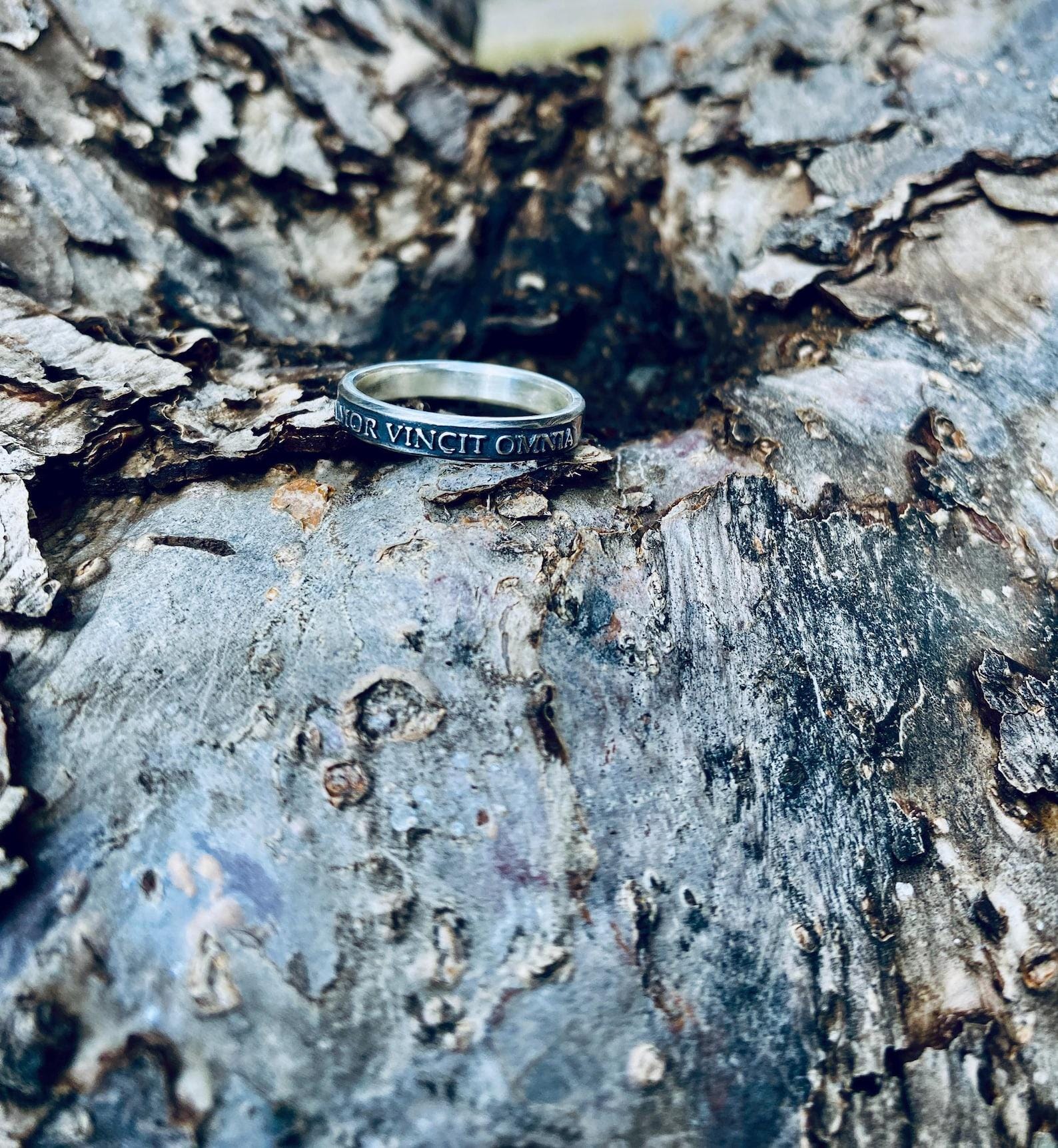 Amor Vincit Omnia matching ring detail