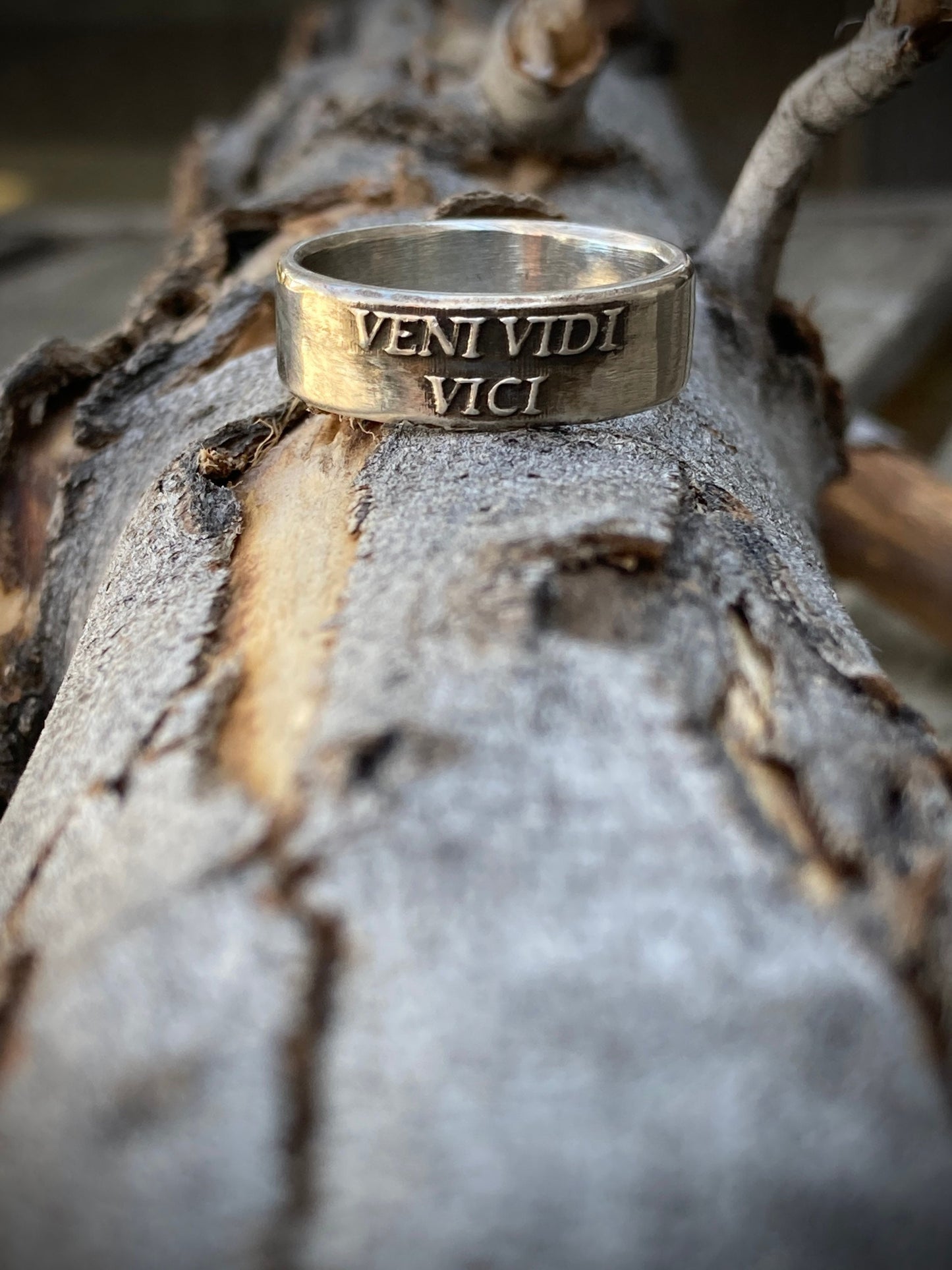 Veni Vidi Vici Ring Sterling Silver Mens and Womens Sterling Silver Band Unisex Engagement Promise Wedding Ring Daily Reminder Ring Anxiety