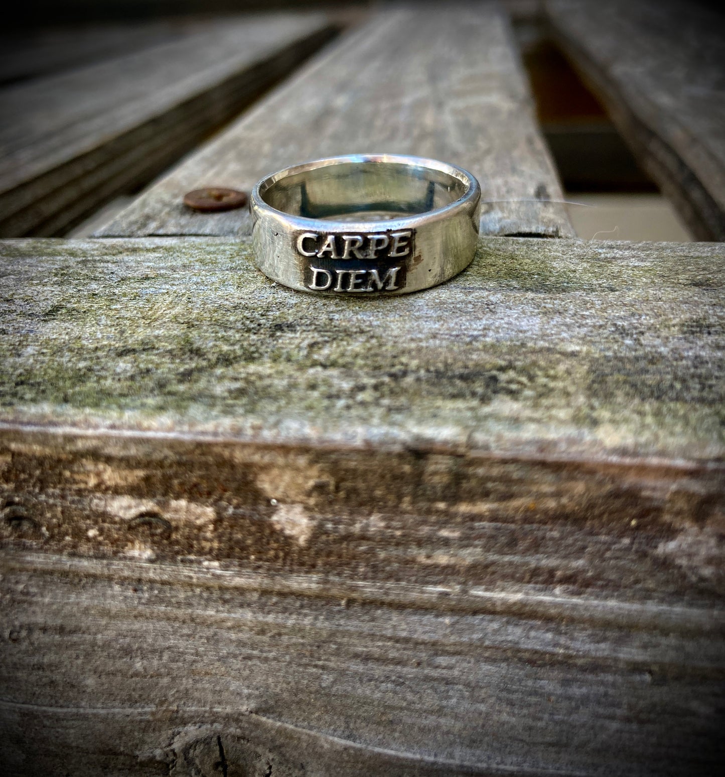 Carpe Diem Ring / Carpe Diem Sterling Silver Ring / Seize the Day Ring / Mens and Womens Ring Engagement / Carpe Diem Jewelry/ Inspiring