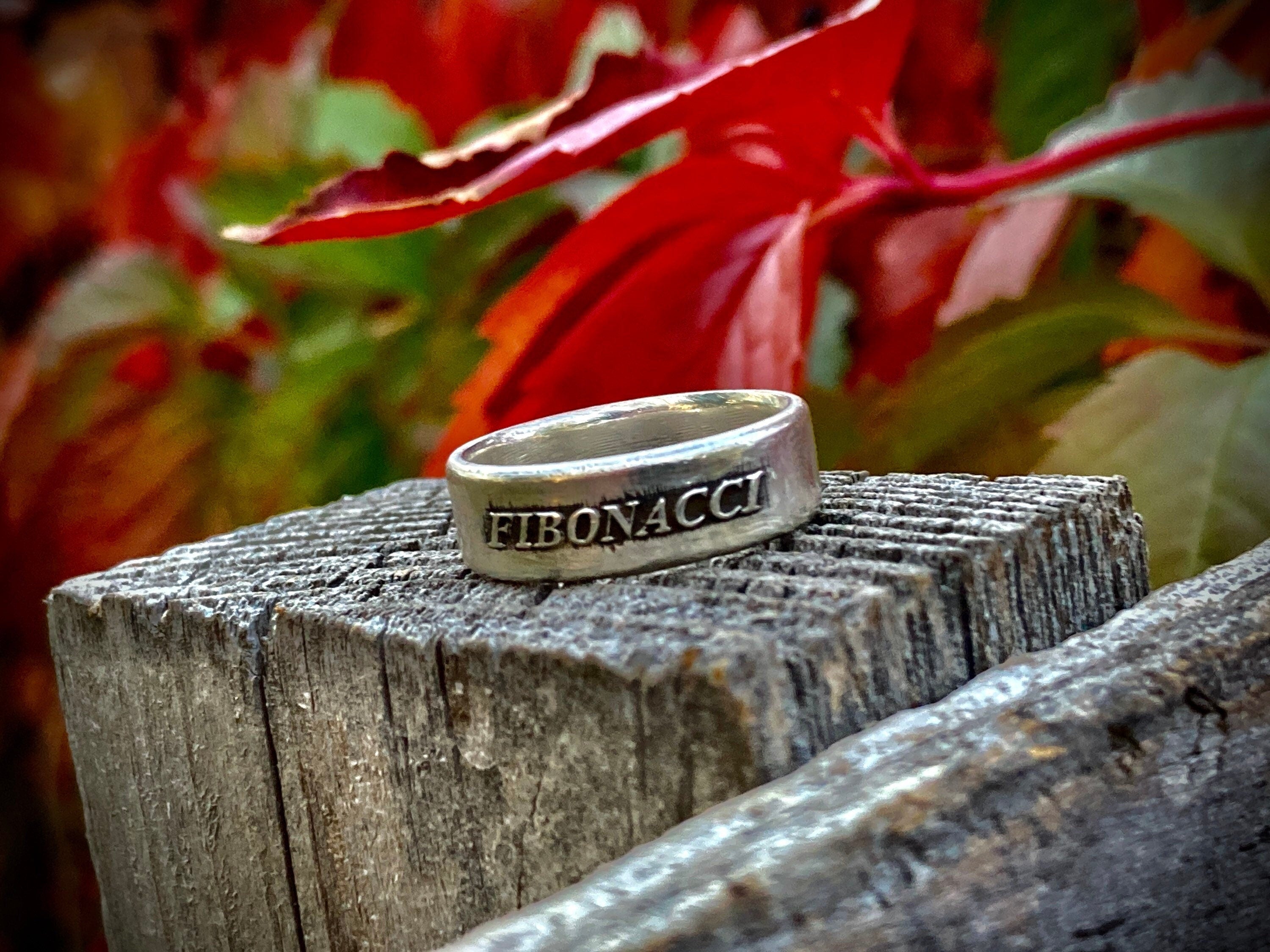 Math Finger Ring Handcrafted Sterling Silver Fibonacci Ring – Math-Inspired Jewelry Mad ...