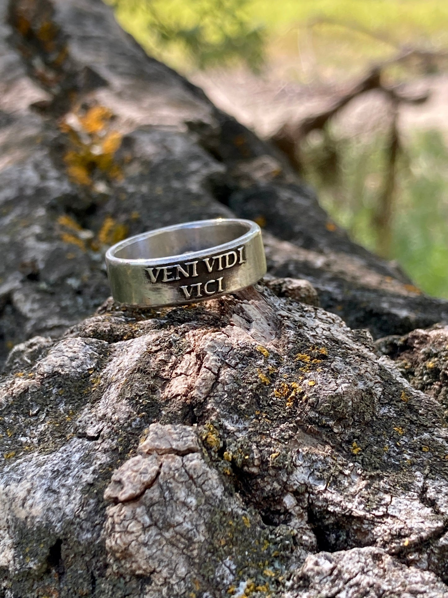 Veni Vidi Vici Ring Sterling Silver Mens and Womens Sterling Silver Band Unisex Engagement Promise Wedding Ring Daily Reminder Ring Anxiety