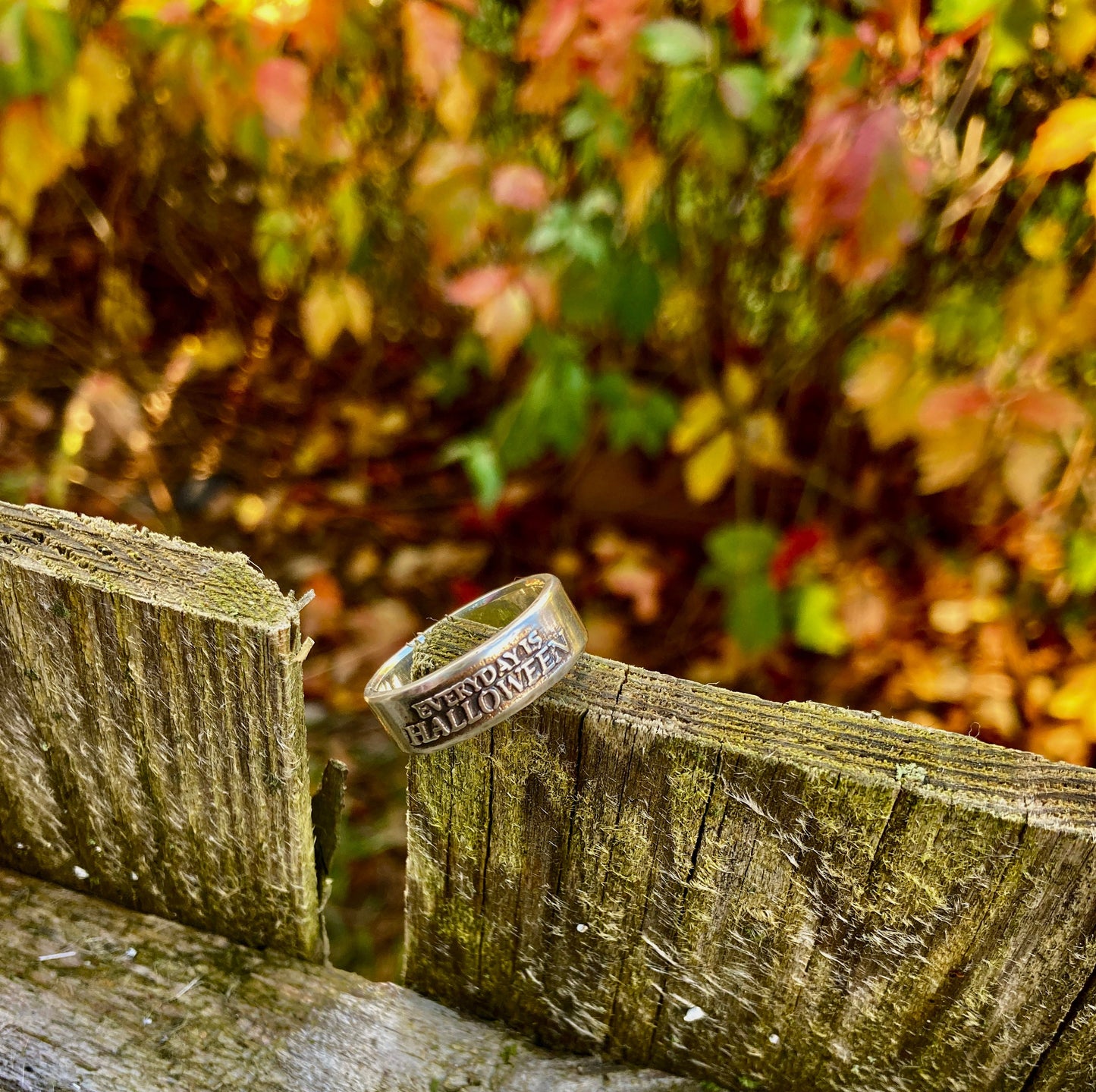 Everyday is Halloween Ring / Halloween Ring Womens Rings Mens Rings / Halloween Jewelry Scary Spooky Holiday Engagement Promise Jewelry Ring