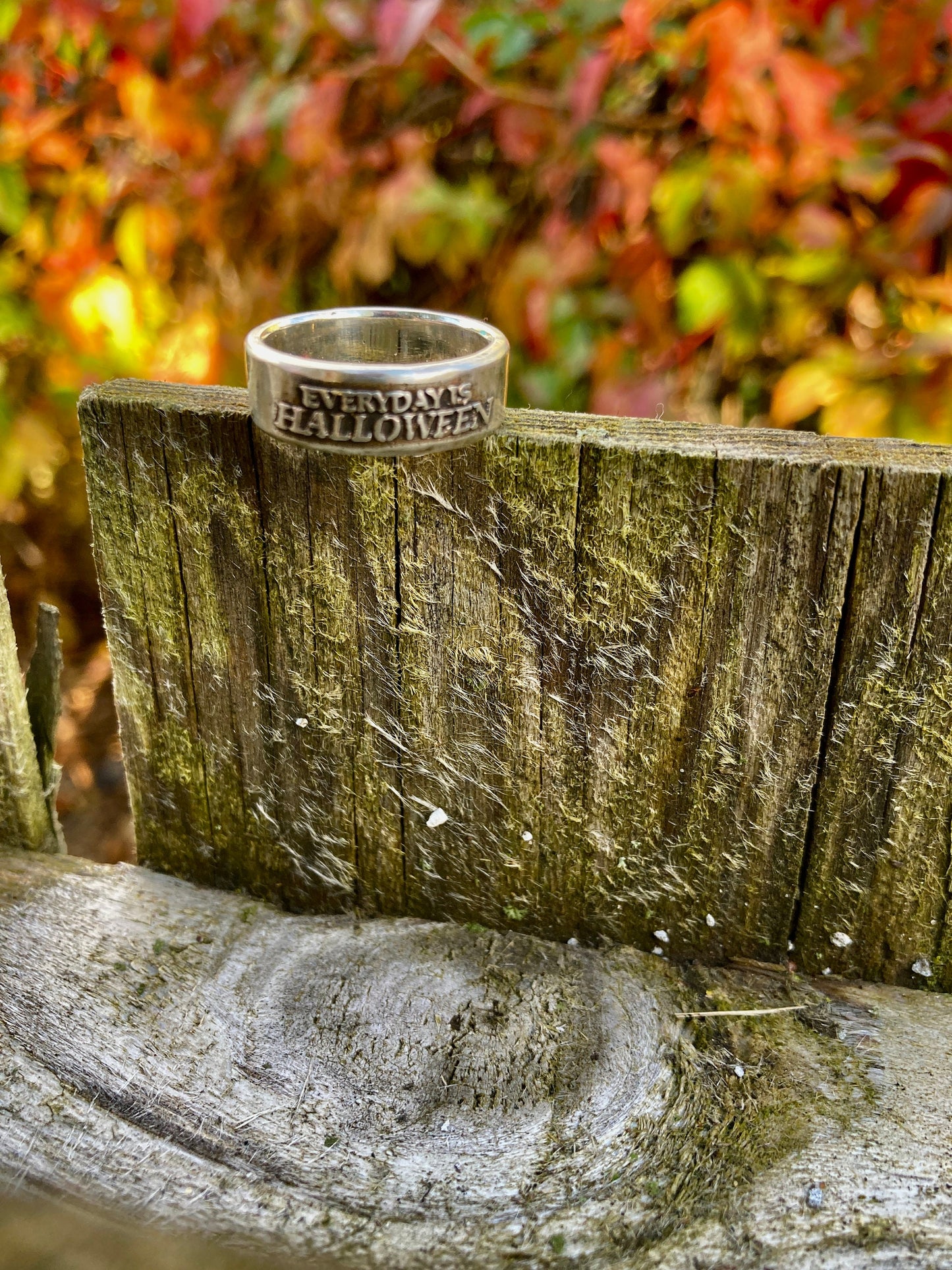 Everyday is Halloween Ring / Halloween Ring Womens Rings Mens Rings / Halloween Jewelry Scary Spooky Holiday Engagement Promise Jewelry Ring