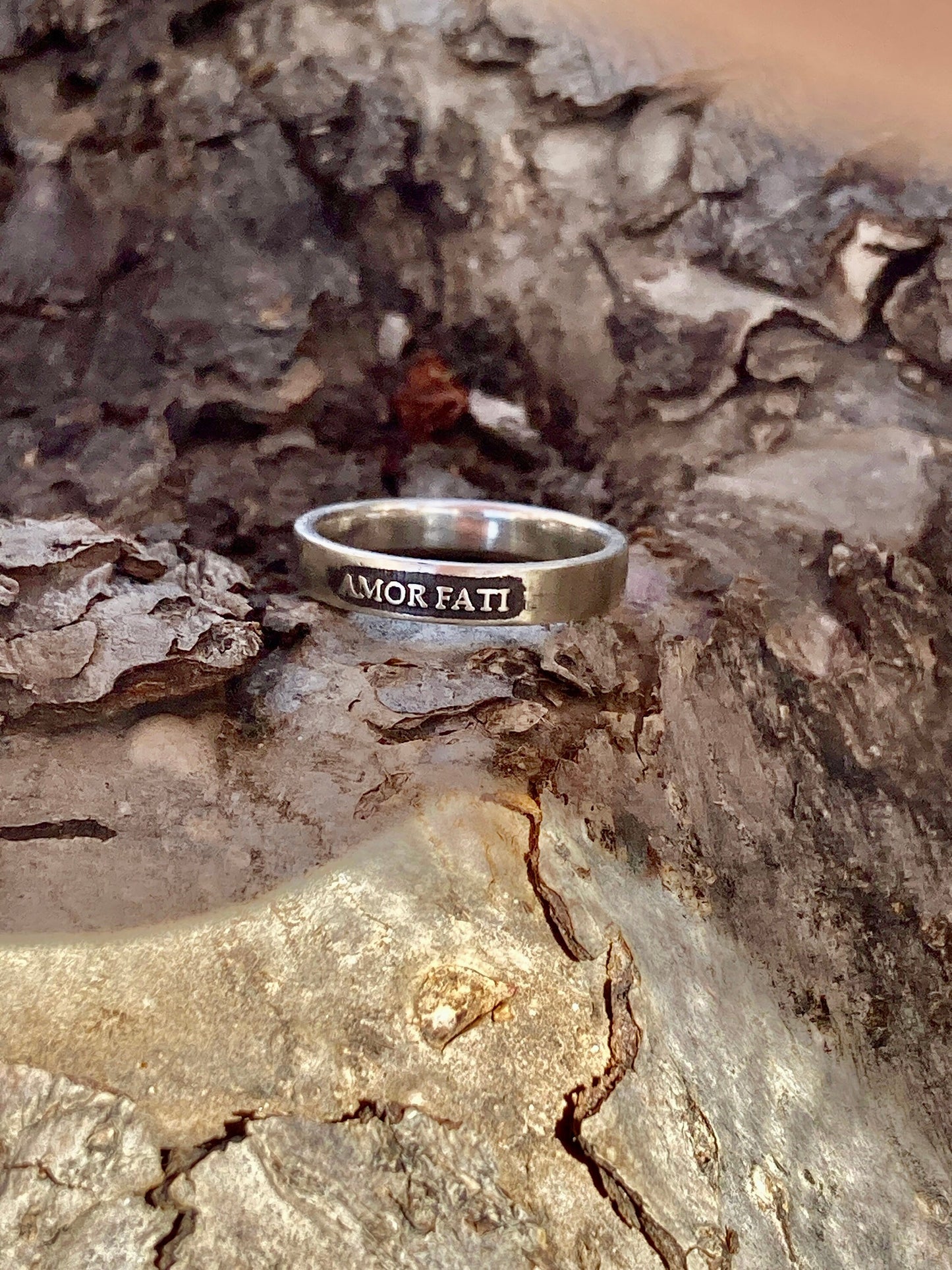 Womens Amor Fati Ring Sterling Silver Ring Love of Fate Jewelry Womens Rings Rings Engagement Ring Jewelry Halloween Gothic Rustic Statement